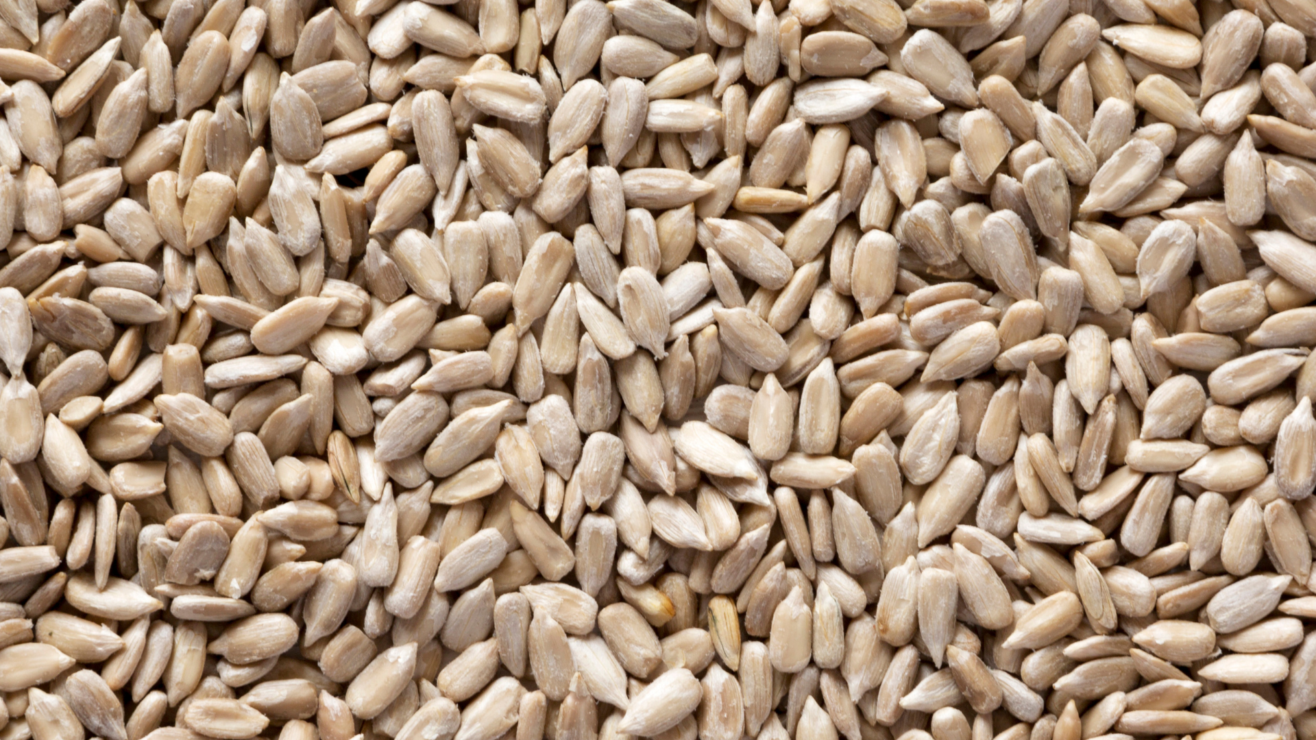 Hulled Sunflower Kernels – Confectionery